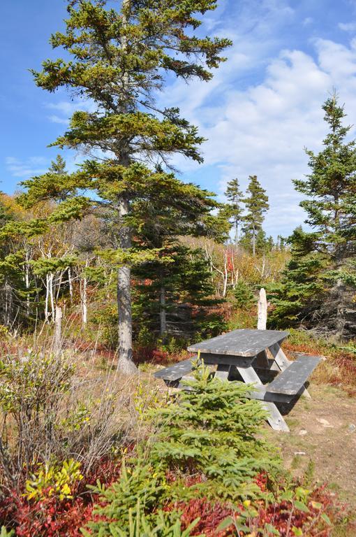 The Sleeping Moose Cottage Birch Plain Exterior foto